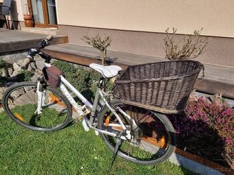 Přepravní koš Tommi pro psa na zadní nosič kola a batoh