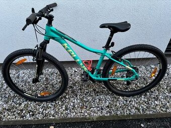 Kellys Vanity 10 , 26´´ - S