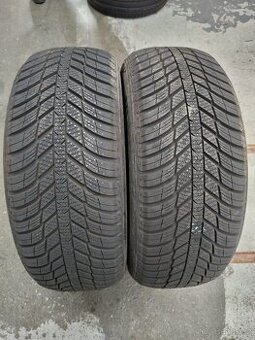 215/55/16 celorocni pneu NEXEN 215/55 R16 97XL
