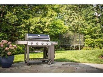 Weber Genesis® II E-410 GBS