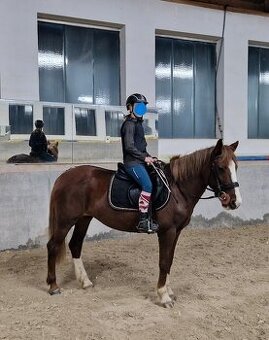 Pony 142 cm Klisna