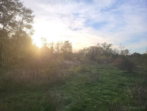 Zahrada 18300 m2, oploceno, u řeky, Štětí - Počeplice