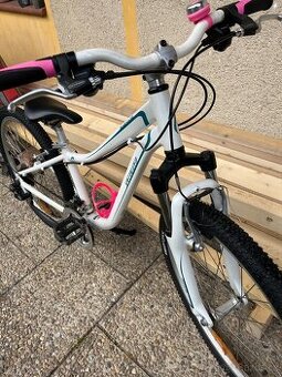 Specialized 24”