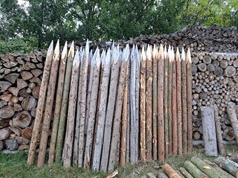 Smrkové kůly na oplocenku v. 220cm