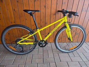 Dětské kolo Beany Zero 24