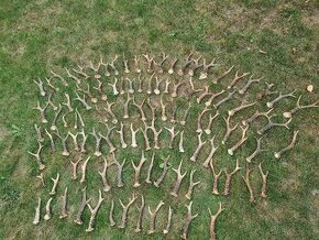 Srnci shozy parozi, pro pejsky na kousani