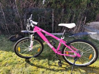 Dámské horské kolo