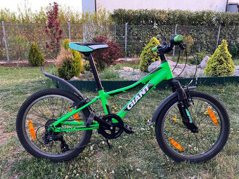 Giant XtC Jr 20” - dětské horské kolo