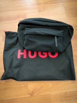 Ledvinka Hugo - 1