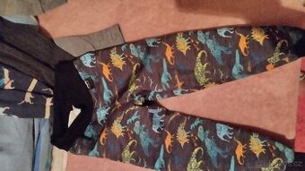 Softshellové kalhoty 110