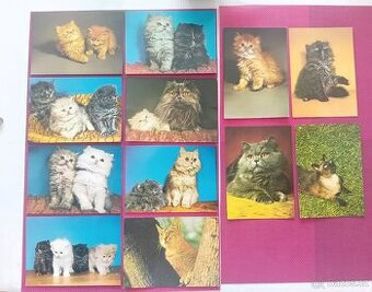 12x vintage pohlednice pejsek, psík