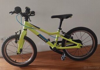 Kolo Arcore Sparrow 16' - 1