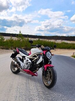 Suzuki sfv650 gladius