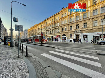 Pronájem květinářství, 24 m², Praha, ul. Francouzská - 1
