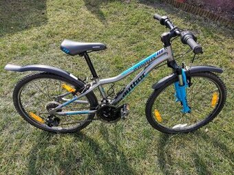 Dětské kolo Author A-Matrix 24"