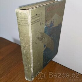 Kříž u potoka, Karolína Světlá, r. 1899