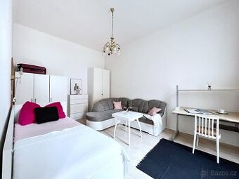 Nabízím světlý neprůchozí pokoj 19 m²