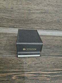 citizen eco drive titanium e110 H24610 TA WR100