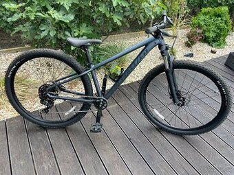 Specialized Rockhopper Comp 29