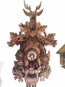 Velke Kukacky, 8 denni ,nove, Nemecko