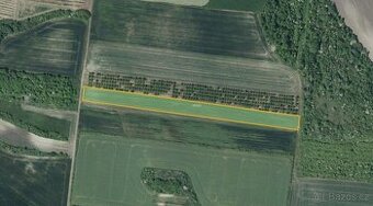 Sady, vinice, prodej, Želkovice, Louny