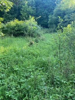 Pronajmu zahradu - 1