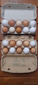 Domácí vejce domácí vajíčka