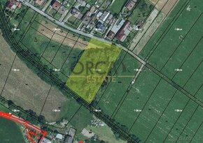 0,5 ha lesního pozemku v k.ú. Stařechovice - 1