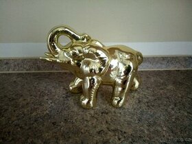 Dekorace - slon zlatý 12 x 15 cm,