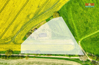 Prodej pole, 6672 m², Pláň, Ostrov u Bezdružic