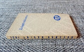 Za lepší reklamou - starožitná kniha z roku 1931, top stav - 1