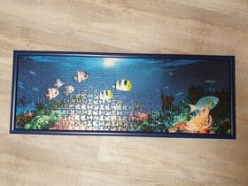 Zarámované puzzle 500 dílků - podmořský svět