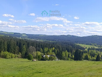 Prodej, pozemek 21 860 m², Křižánky - České Křižánky - 1