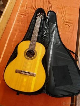 Takamine GC1-NAT