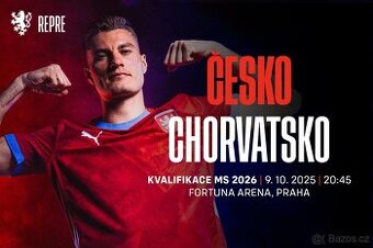 KOUPÍM VSTUPENKY - ČESKO VS. CHORVATSKO - CENU RESPEKTUJI