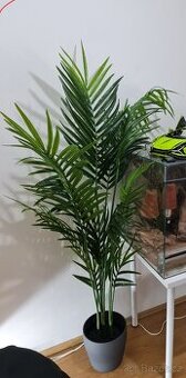 Umělá rostlina z IKEA (Fejka)