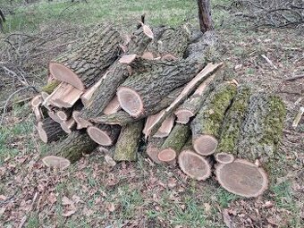 Dřevo za odvoz