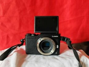 Panasonic Lumix GX800 4k video + Olympus 45mm F1.8