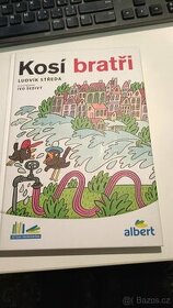 Kosí bratři