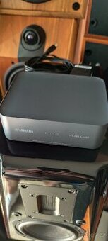 Streamer YAMAHA WXAD-10