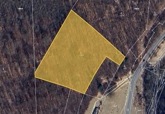 Prodej lesu v k.ú. Jasenka, ev.č. 2025-10-31-125541