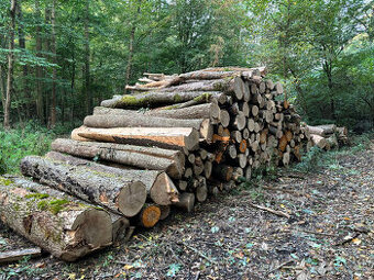 Prodám palivové dřevo - tvrdé, listnaté