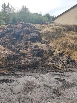 Nabízím koňský hnůj