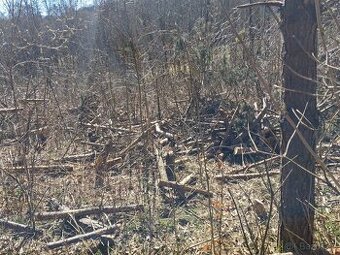 Palivove drevo smrk - suchy , samotezba 500kc/m3