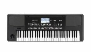 Korg pa 300