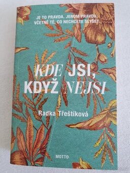 Kde jsi, když nejsi, Radka Třeštíková