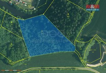 Prodej lesa, 9272 m², Římov - Branišovice