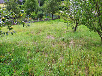 Prodej stavebního pozemku 828 m² v Dlouhomilově
