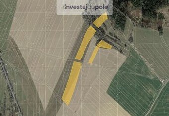 Prodej zemědělské půdy v k.ú. Radenín - 1