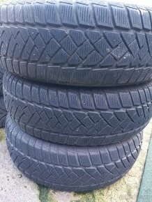 Zimní pneu Dunlop 195/65 R15